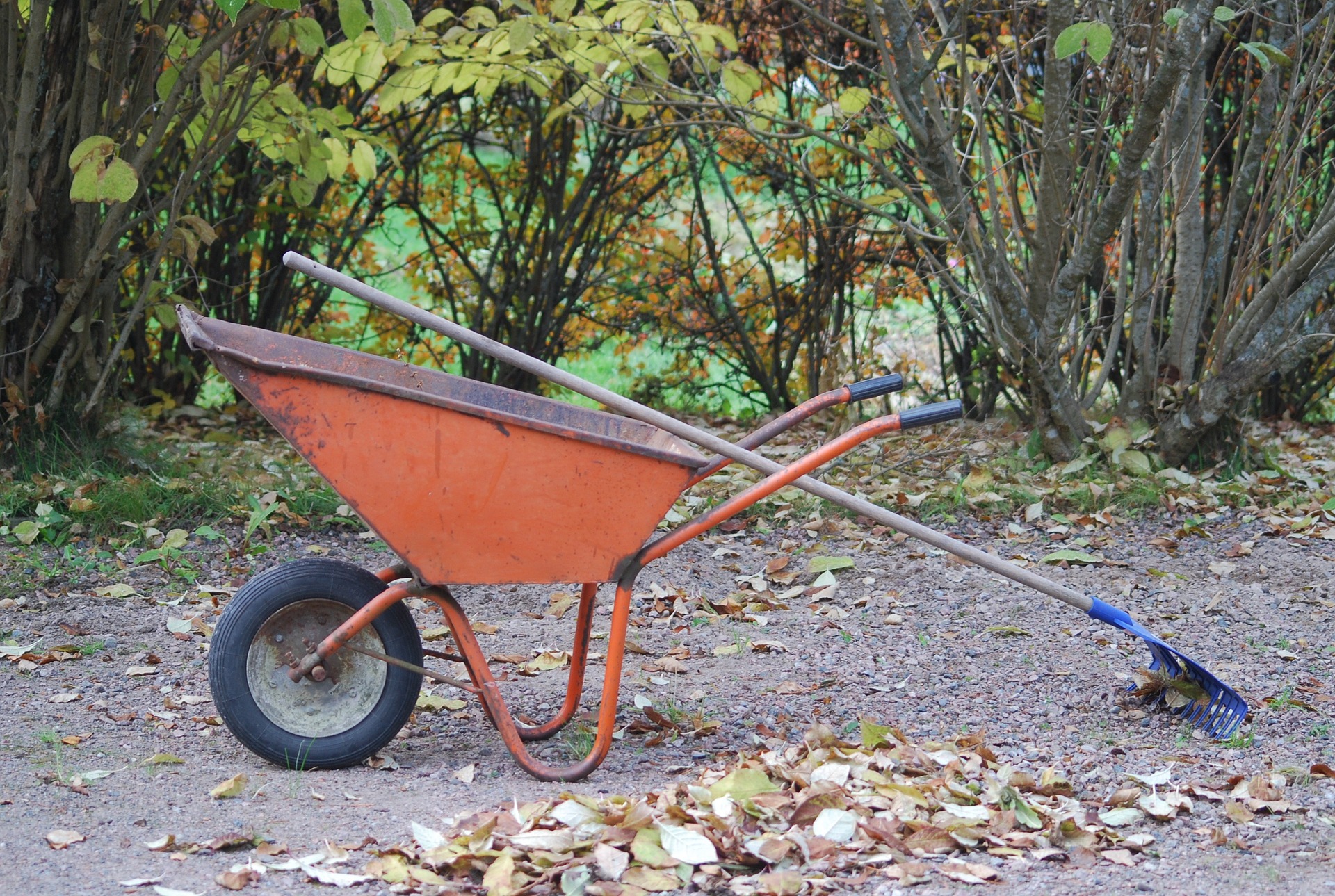 Harava ja kottikärryt hautausmaalla.